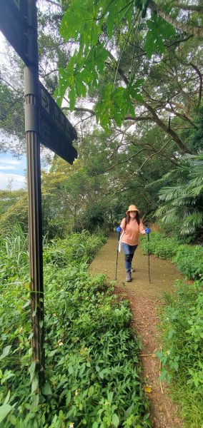 2024-06-15觀音山【福隆山、尖山(占山)登山步道】O走2528211