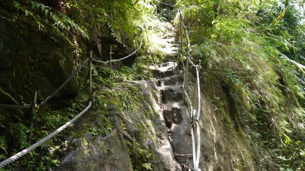 孝子山登山健行趣(郊山)1719125