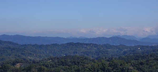 2025/11/22_大分林山步道2944213