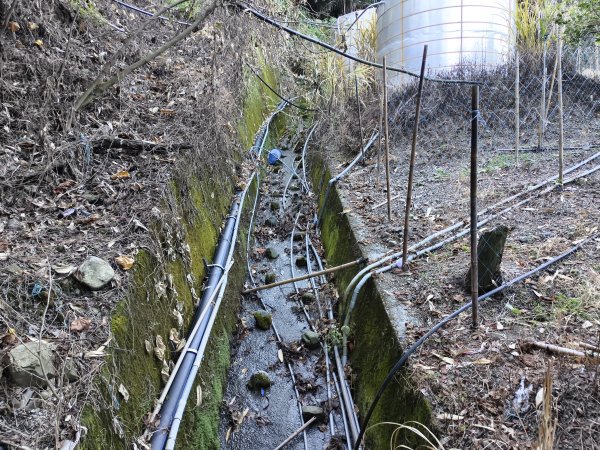 [玉山尋寶任務-07/12] 2025_0824 八通關雲龍瀑布步道2870435