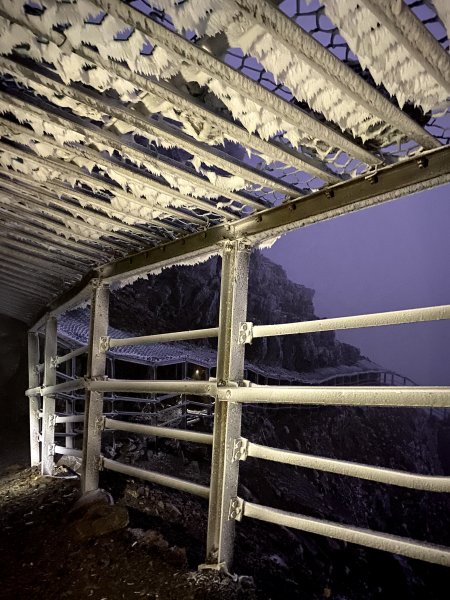 20200310-0312玉山前五峰877385