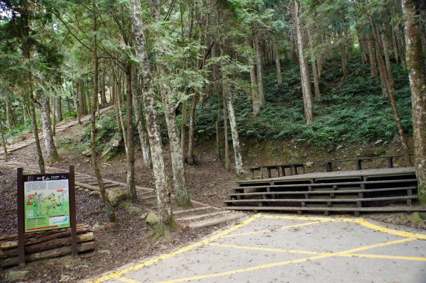 苗栗 南庄 加里山2963382