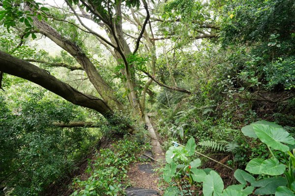 臺北 北投 嘎嘮別山、稻香山、貴子坑山2760558