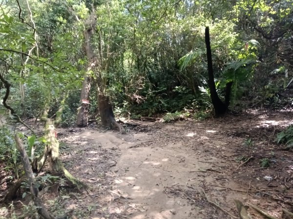 基隆市/萬里區界寮縱走之三界山+三界山西峰+開眼尖山+七分寮山+瑪七產道山泉水接水亭2979575