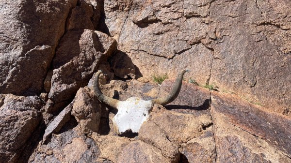 川藏318熱門的卡點-尼瑪-當惹擁措-大地之樹-雅丹地貌聖象天門2905339