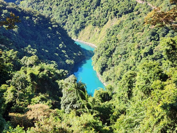 新北烏來｜內洞國家森林遊樂區步道群2904737