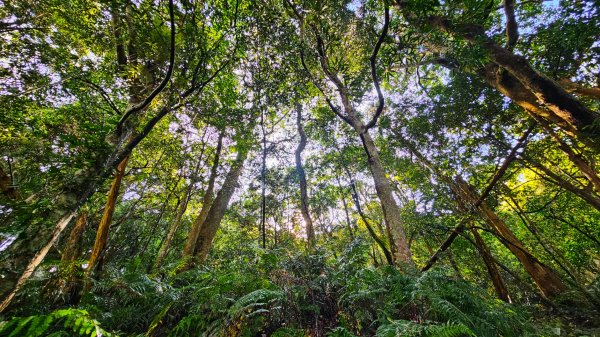 112.04.08 油羅山2123558