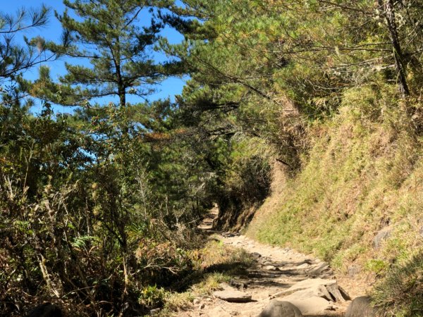 玉山前鋒！八百公尺到天堂的距離751154