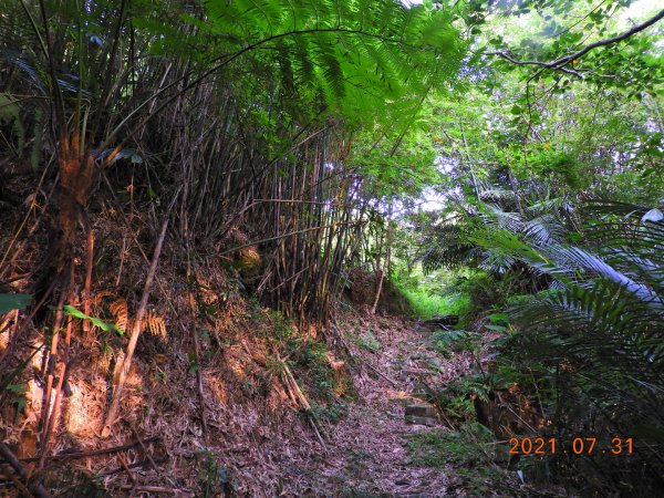 新北 貢寮 和美山(蚊子坑山)1432400