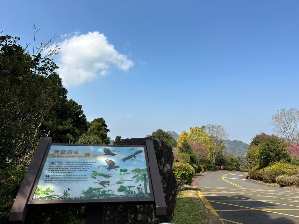 東眼山自導式步道O形漫步續走親子峰步道到化石區2067589