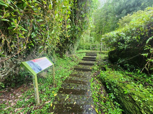 20250719頂湖上大凍山2907154