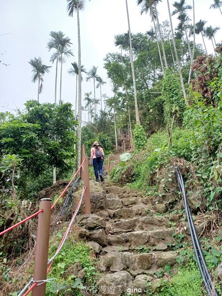 【嘉義竹崎】說好的稜線風景呢。阿拔泉山稜線步道連走獨立山O繞2684130