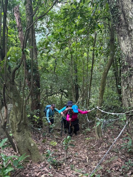 登峰古圳訪高頂山 北五指山 出荷蘭古道 快閃聖人瀑布2981974