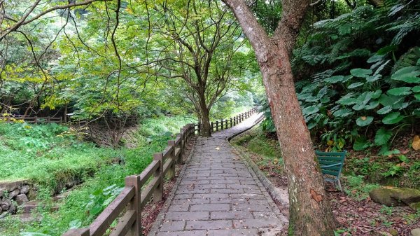 豹山溪,獅山溪,永春崗1769884