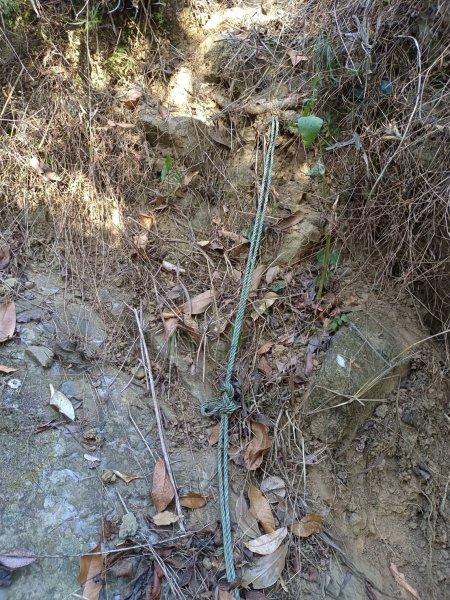 20230129台中太平大湖桶山2011037