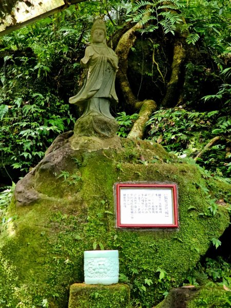 (五分山系)平溪小黃山-2025微笑山線大縱走尋寶集章任務2855291