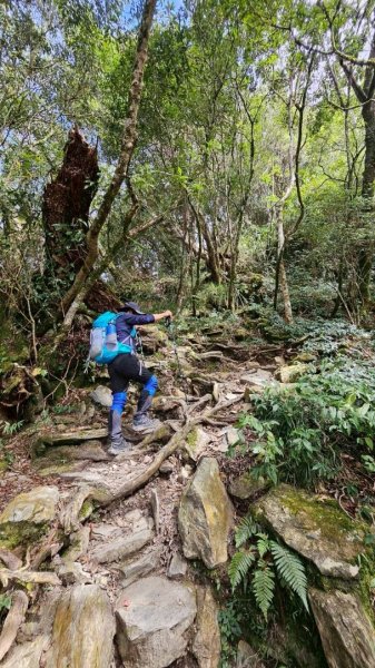 20251106北大武山步道☁️ 喜多麗雲海2931368