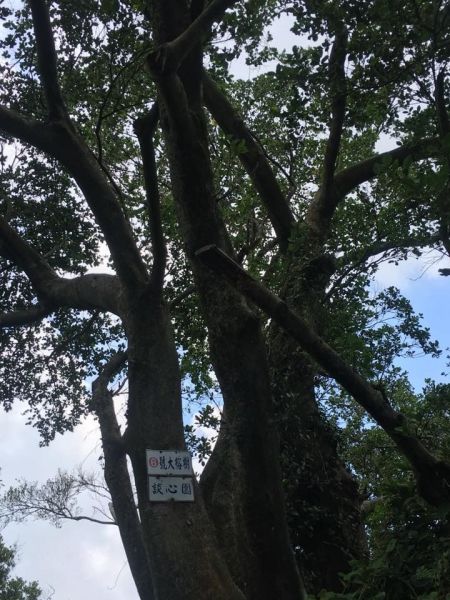 環大台北天際線第8段（迴龍-鶯歌）397673