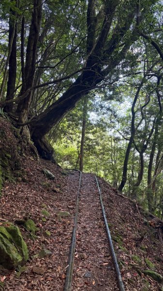 林鐵遺跡2878330