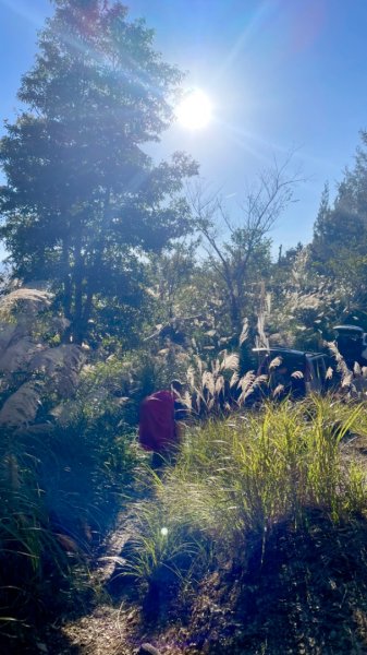 塔魔巴2天1夜來回/復興尖-四稜溫泉2357262