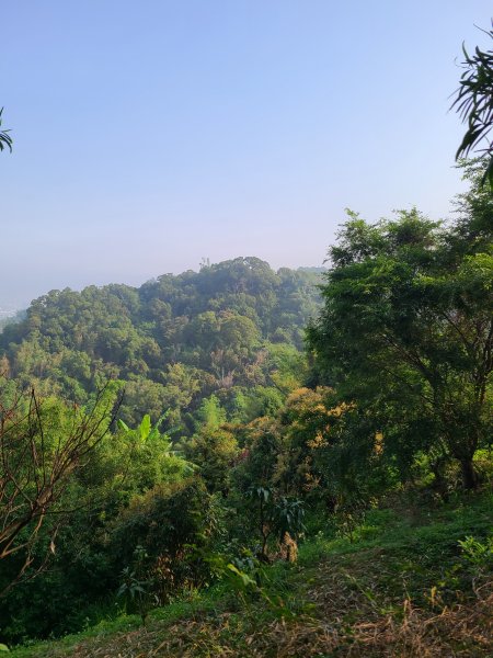 大坑6號上+8號探路+7號下2771420