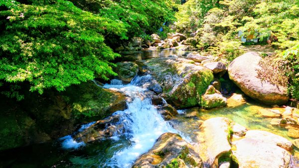 南九州－屋久島白谷雲水峽3063306