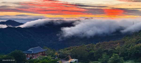 #新店四十份 #翡翠水庫 #日出 #雲瀑 #火燒雲 #雲海 9/23114395