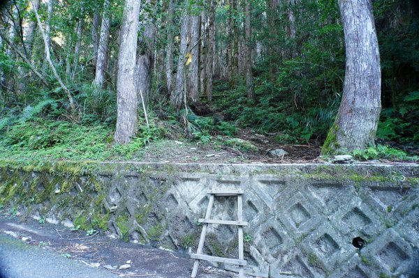 宜蘭 大同 三星山2890379