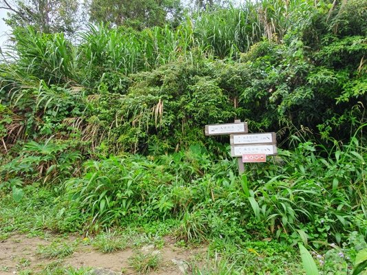 【花蓮秀林鄉】立霧山步道905355