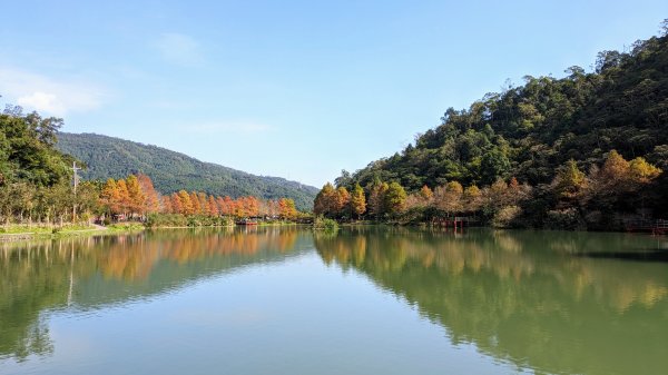 望龍埤,鎮頭山,蜊埤湖2391848