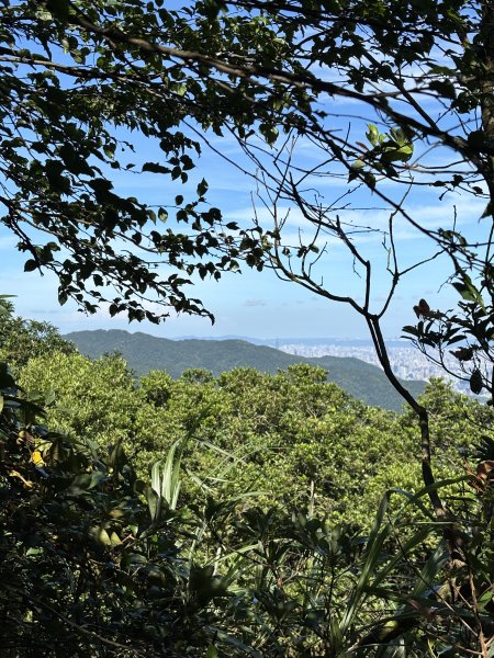 姜子寮山3089941