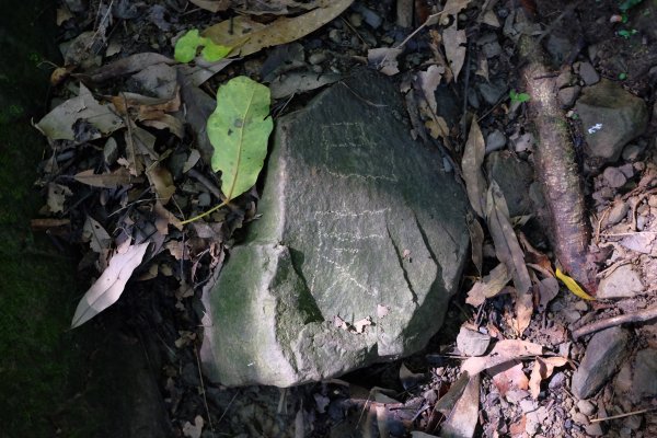 新竹尖石鄉 煤源社區上李棟山、大混山出凌空廊道2550491