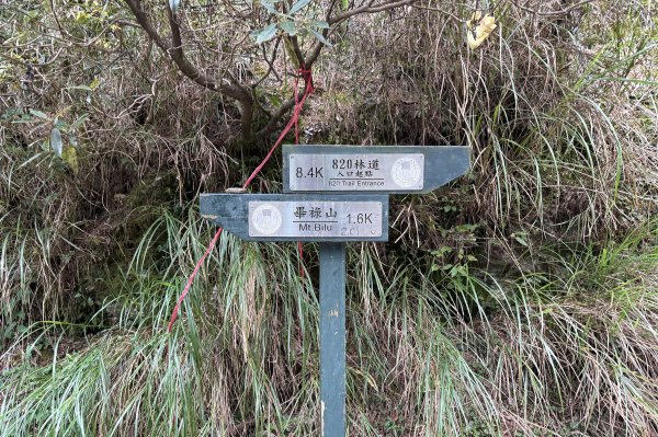 觀雲山莊經小完美谷上畢祿山O繞2917253