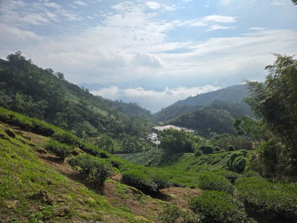 雲嘉六連峰（小百岳）2928002