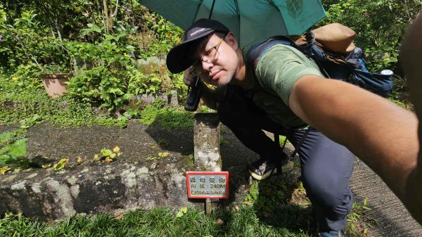 20250719遠景古道-雞母嶺古道(雞母嶺街-三叉港-土地公嶺山-雙澳崙)2841145