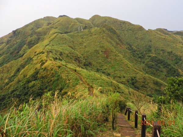 新北 瑞芳 半屏山、茶壺山1288525