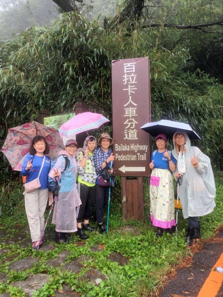 百拉卡公路人車分道、環七星山人車分道百拉卡公路入口站至冷水坑段、大港墘公園【走遍陽明山、健康大穀東】2307560