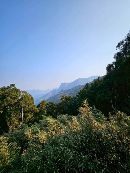 20260330十字路車站O繞多林車站 得恩亞納3027276