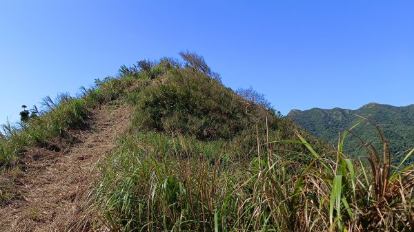 貢寮區三貂角燈塔+萊萊越嶺古道+萊萊山+萊萊三叉峰+吳家古厝+舊草嶺隧道北口+福隆車站3001117
