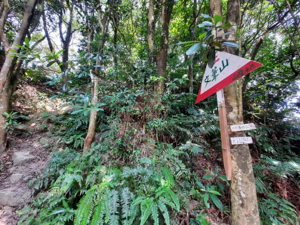 圓通寺烘爐地登山步道1425395