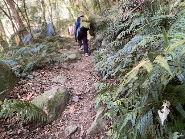 谷關七雄｜一日東屋縱走2923826