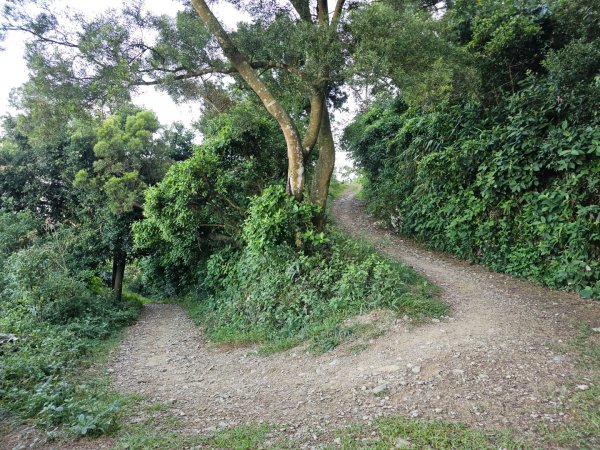 尾寮山-小百岳#73-屏東縣三地門鄉2931081