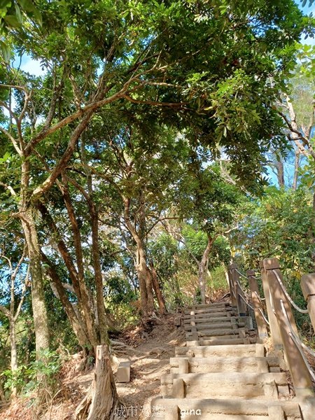 【台中潭子】蜿蜒步道賞風景。 No40小百岳~聚興山、新田登山步道2425966