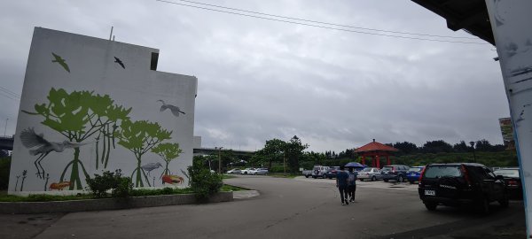 2026/06/28 新豐紅樹林生態保護區3079812
