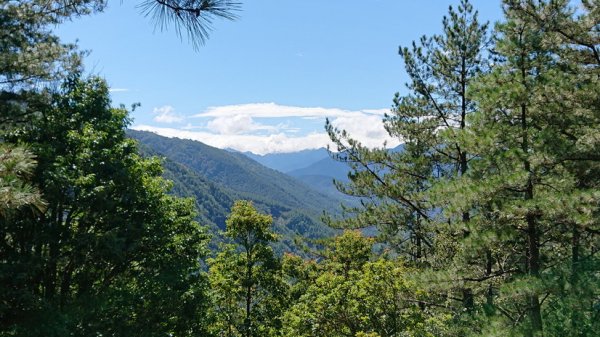 20191006武陵農場桃山瀑布步道1627866