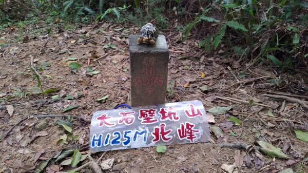 龍虎雙碑縱走2989642