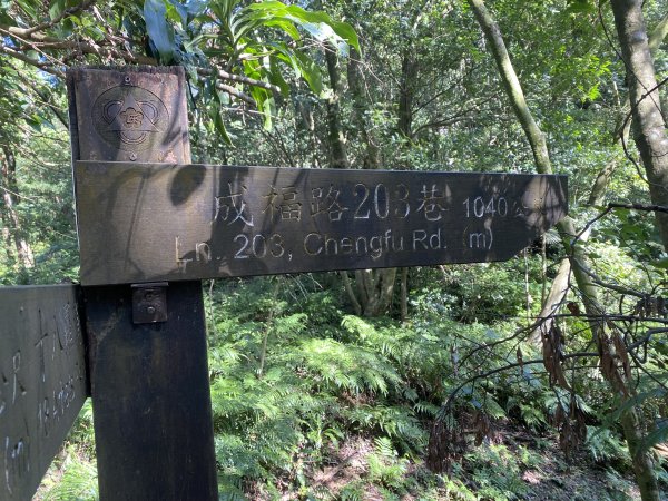 2025微笑山線大縱走尋寶集章任務-Ep.04【天上山系】望月亭桐花段｜石門內尖山東峰 ×石門內尖山2979151