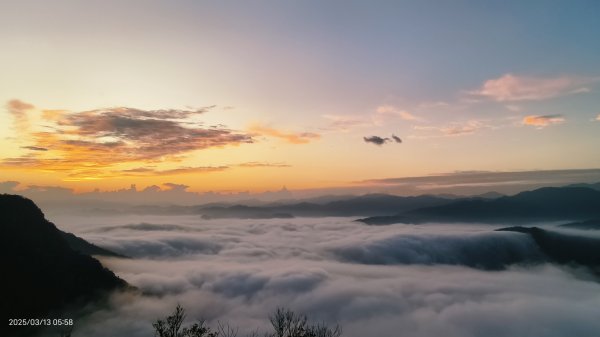 #翡翠水庫 #琉璃光 #日出 #雲海  #藍腹鷴 3/132734653
