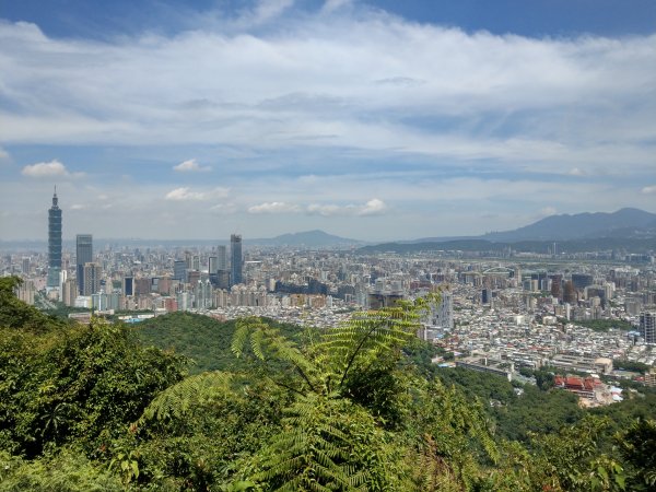 九五峰步道1453908