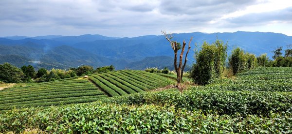石碇皇帝殿（西峰，東峰），天王峰，坪林獅公髻尾山，文山指南宮千階步道（竹柏參道），十六分山，貓空尖1971338